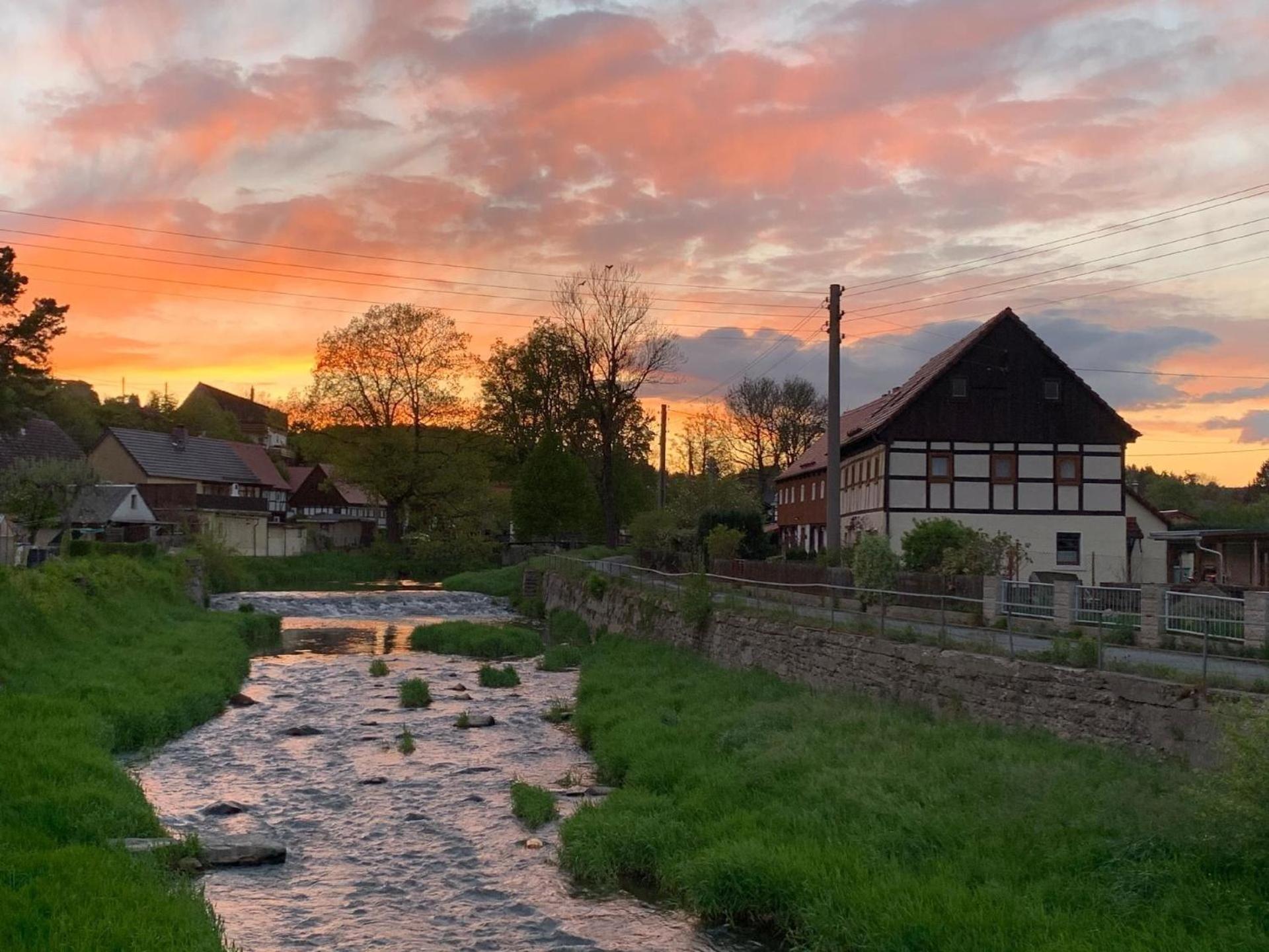 Ferienhaus In Grossschoenau Mit Grosser Terrasse Βίλα Εξωτερικό φωτογραφία